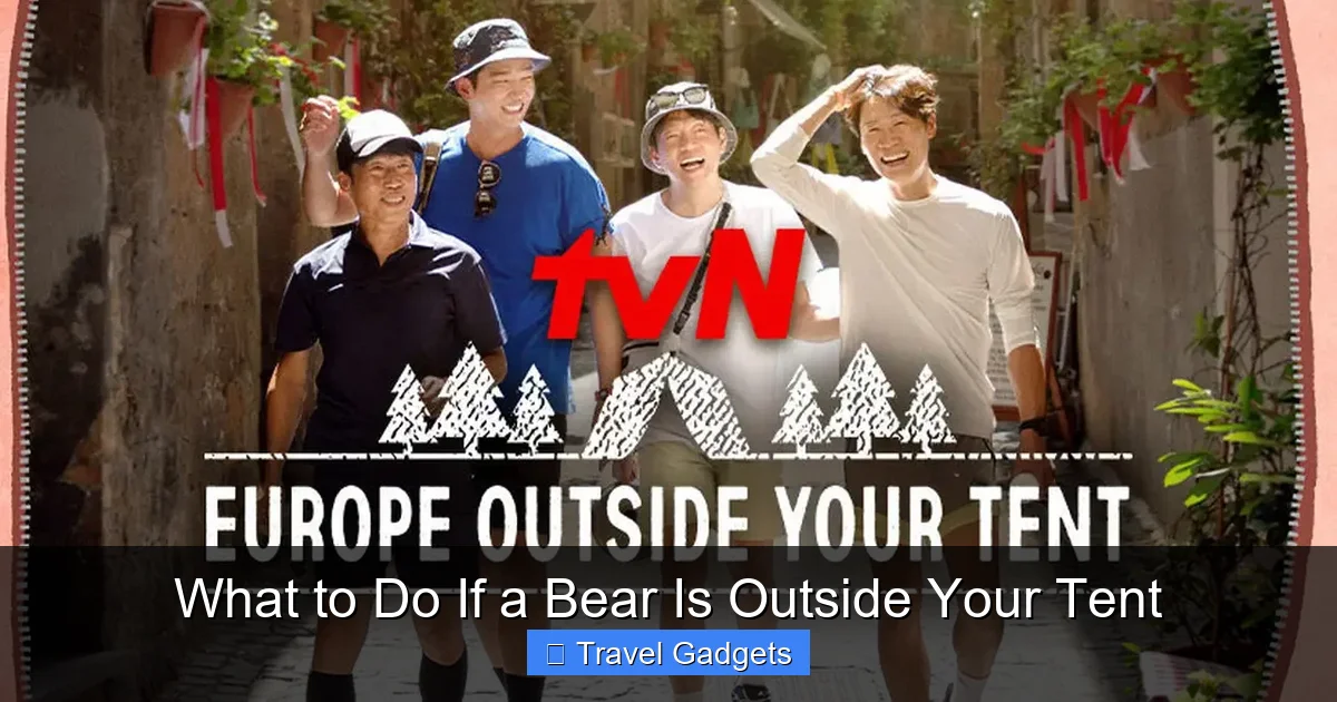 What to Do If a Bear Is Outside Your Tent
