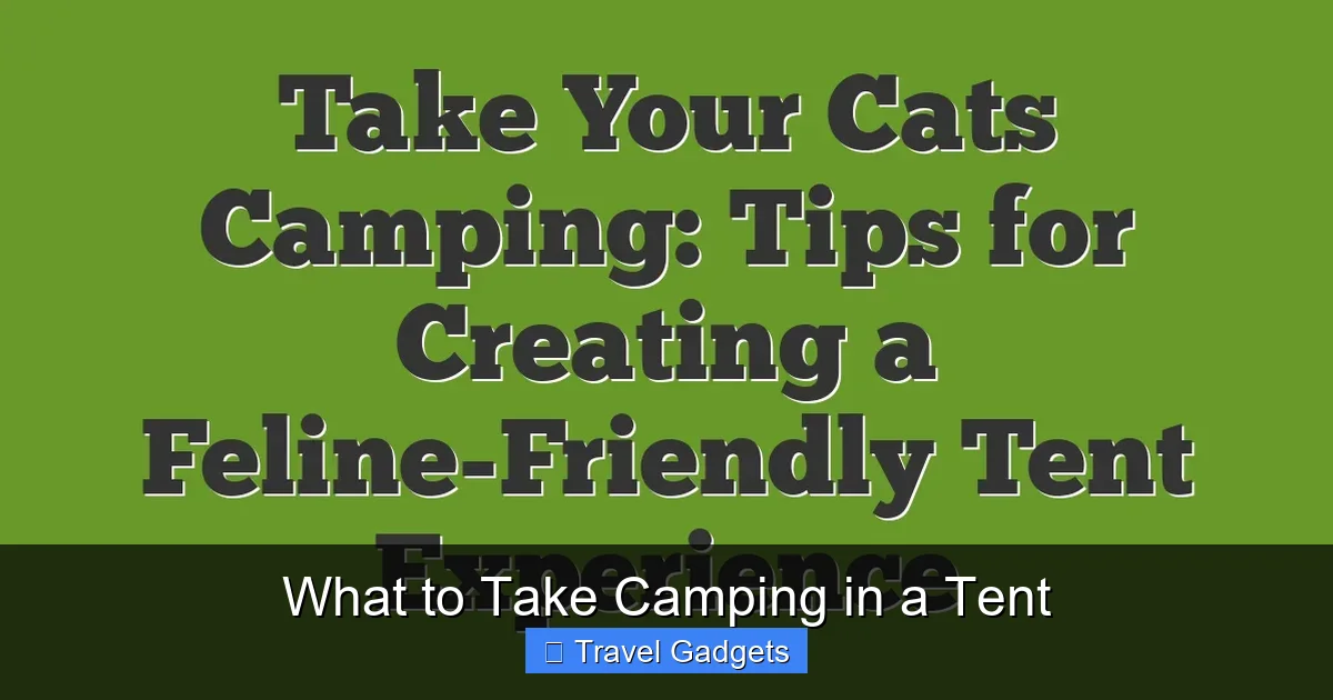 What to Take Camping in a Tent