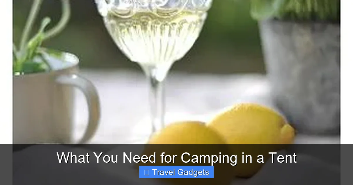 What You Need for Camping in a Tent