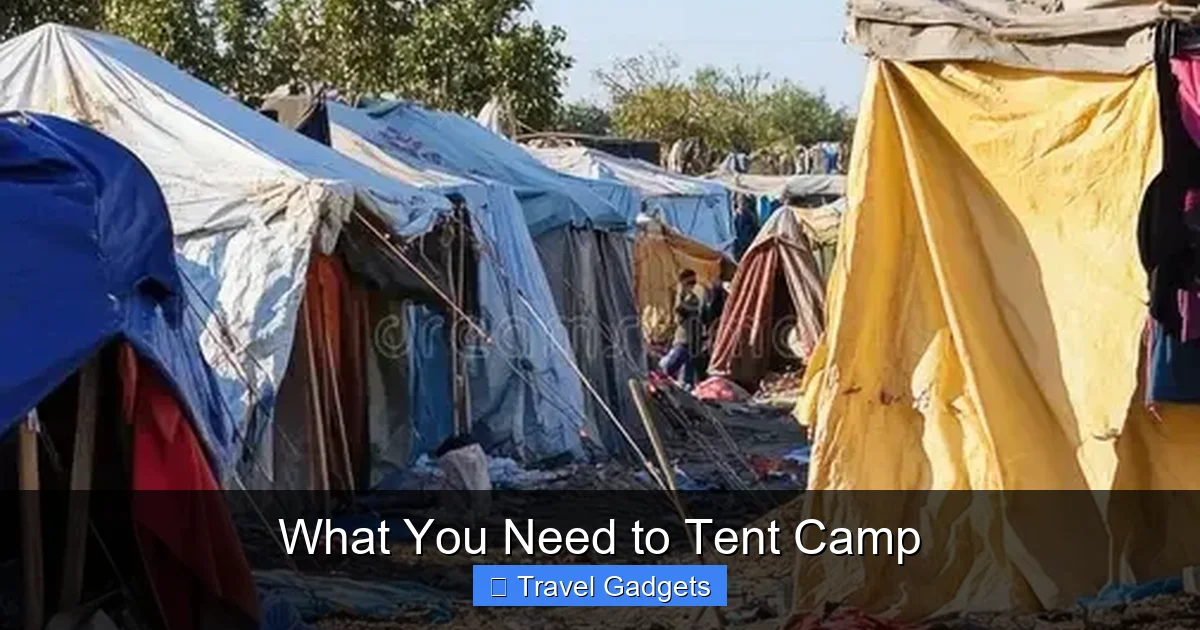 What You Need to Tent Camp