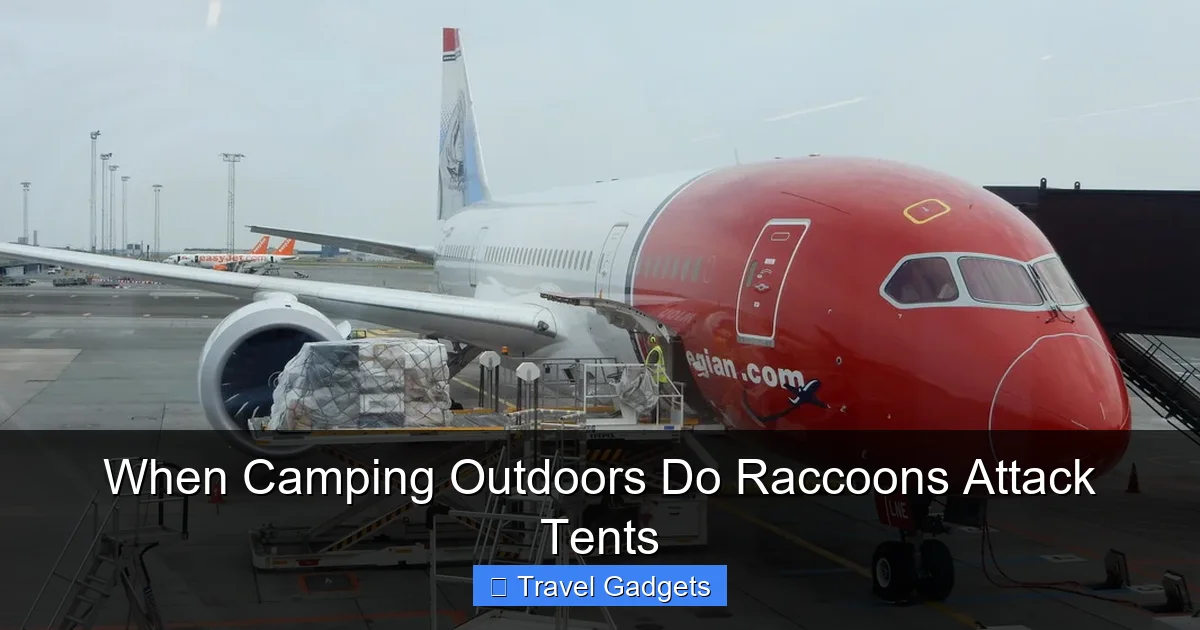 When Camping Outdoors Do Raccoons Attack Tents