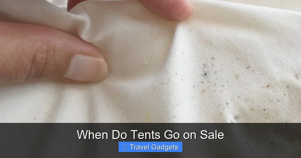 When Do Tents Go on Sale