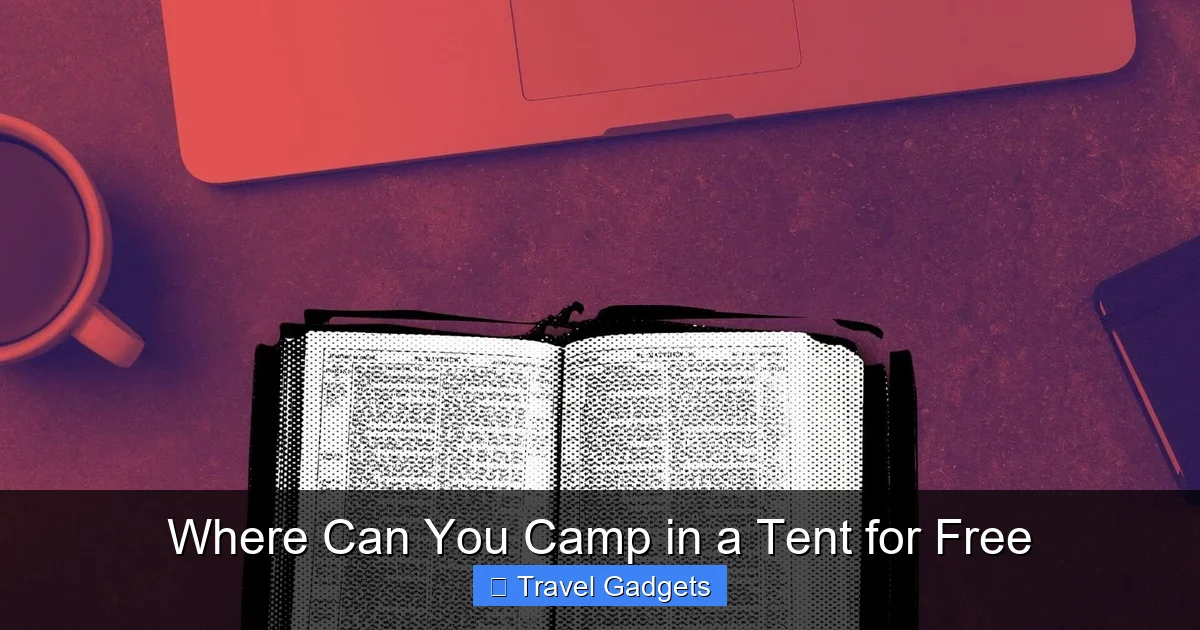 Where Can You Camp in a Tent for Free