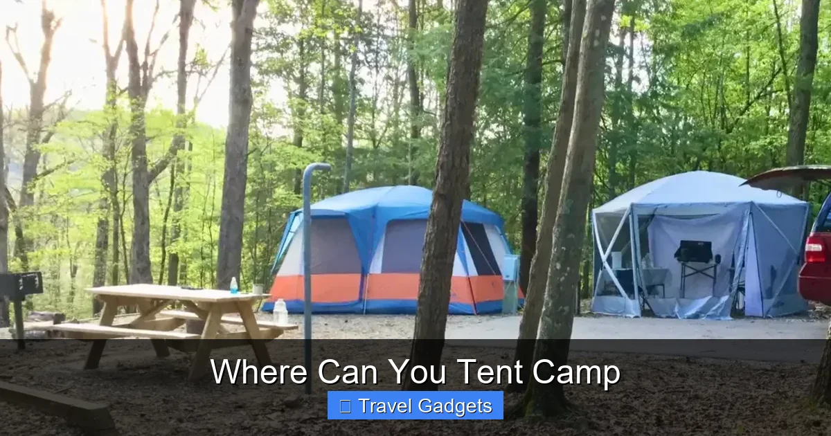 Where Can You Tent Camp