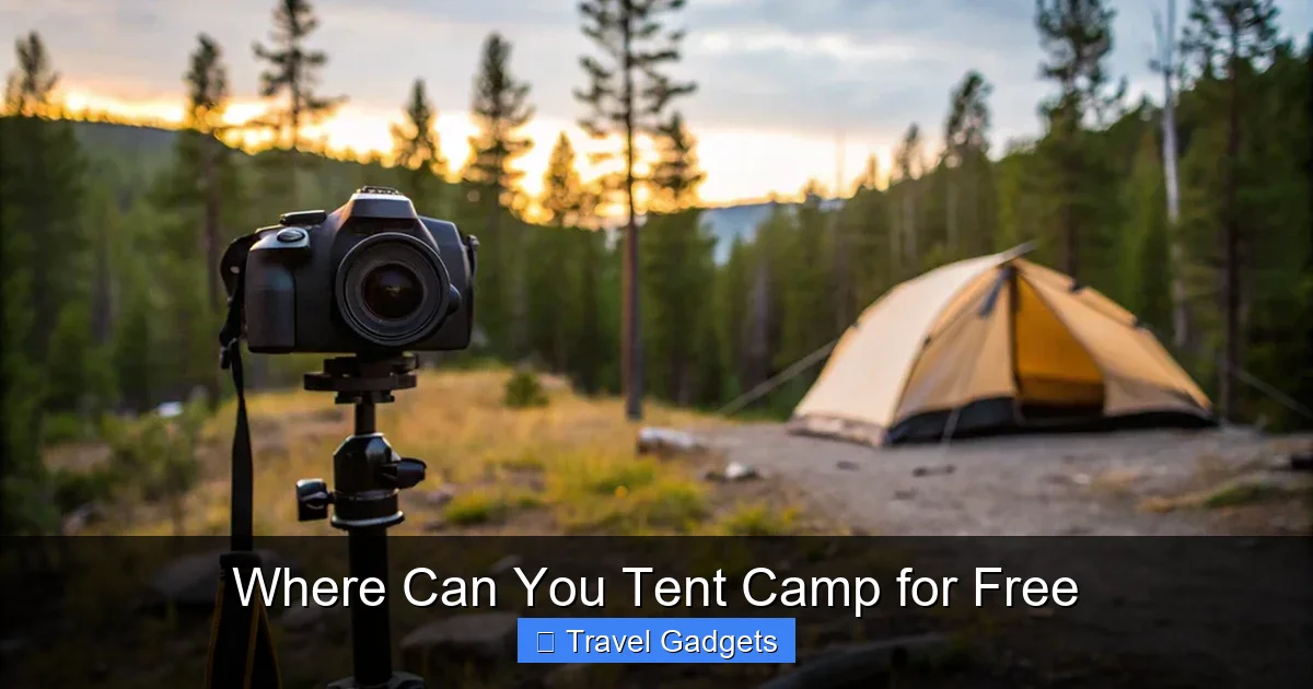 Where Can You Tent Camp for Free