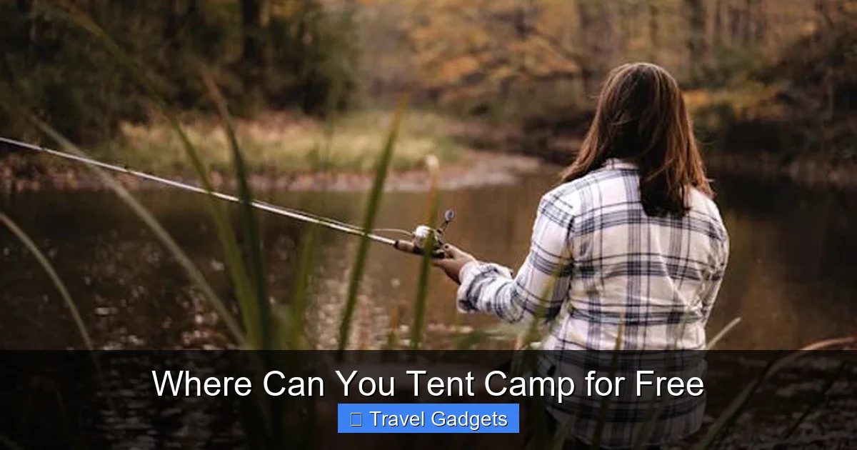 Where Can You Tent Camp for Free