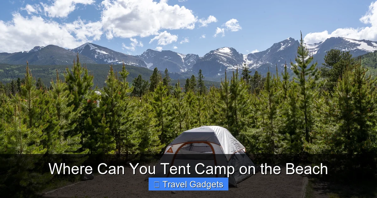 Where Can You Tent Camp on the Beach