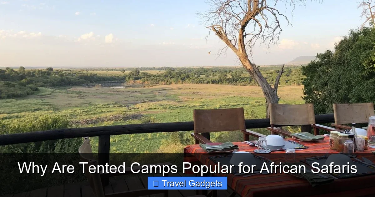 Why Are Tented Camps Popular for African Safaris