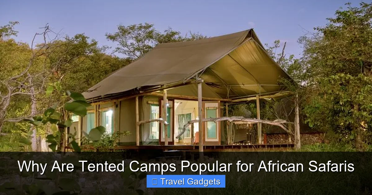 Why Are Tented Camps Popular for African Safaris