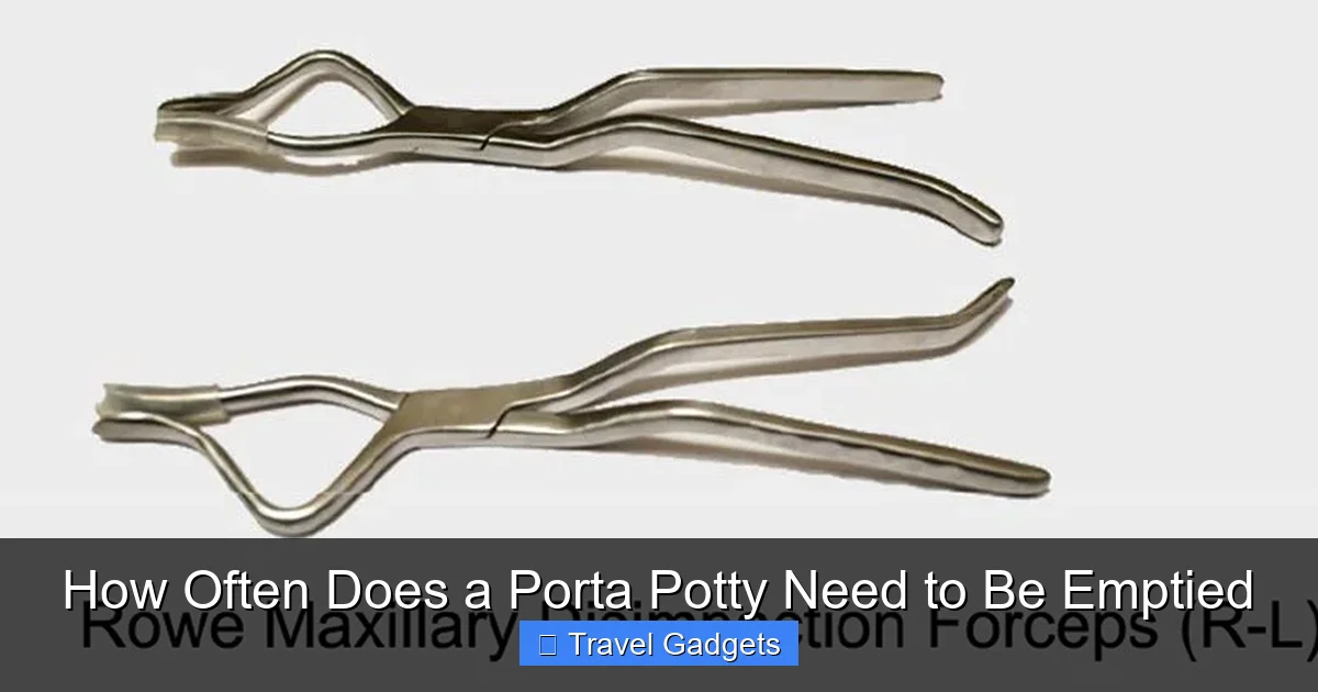 How Often Does a Porta Potty Need to Be Emptied
